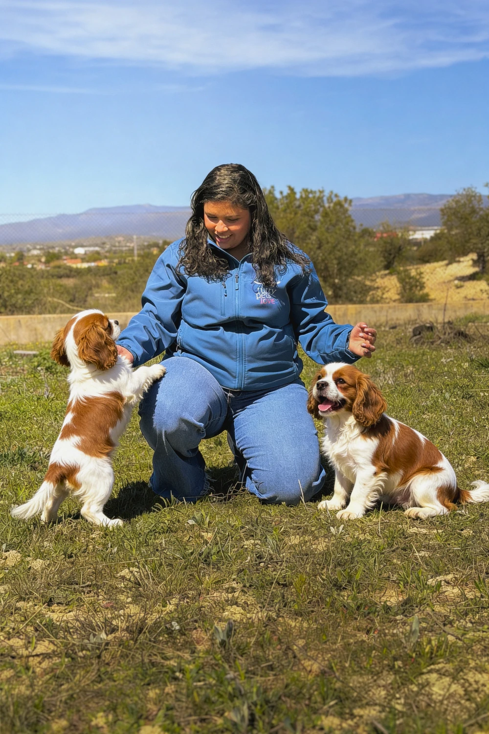 https://tuttypetslove.es/wp-content/uploads/2026/05/comprar_perros_medianos.webp