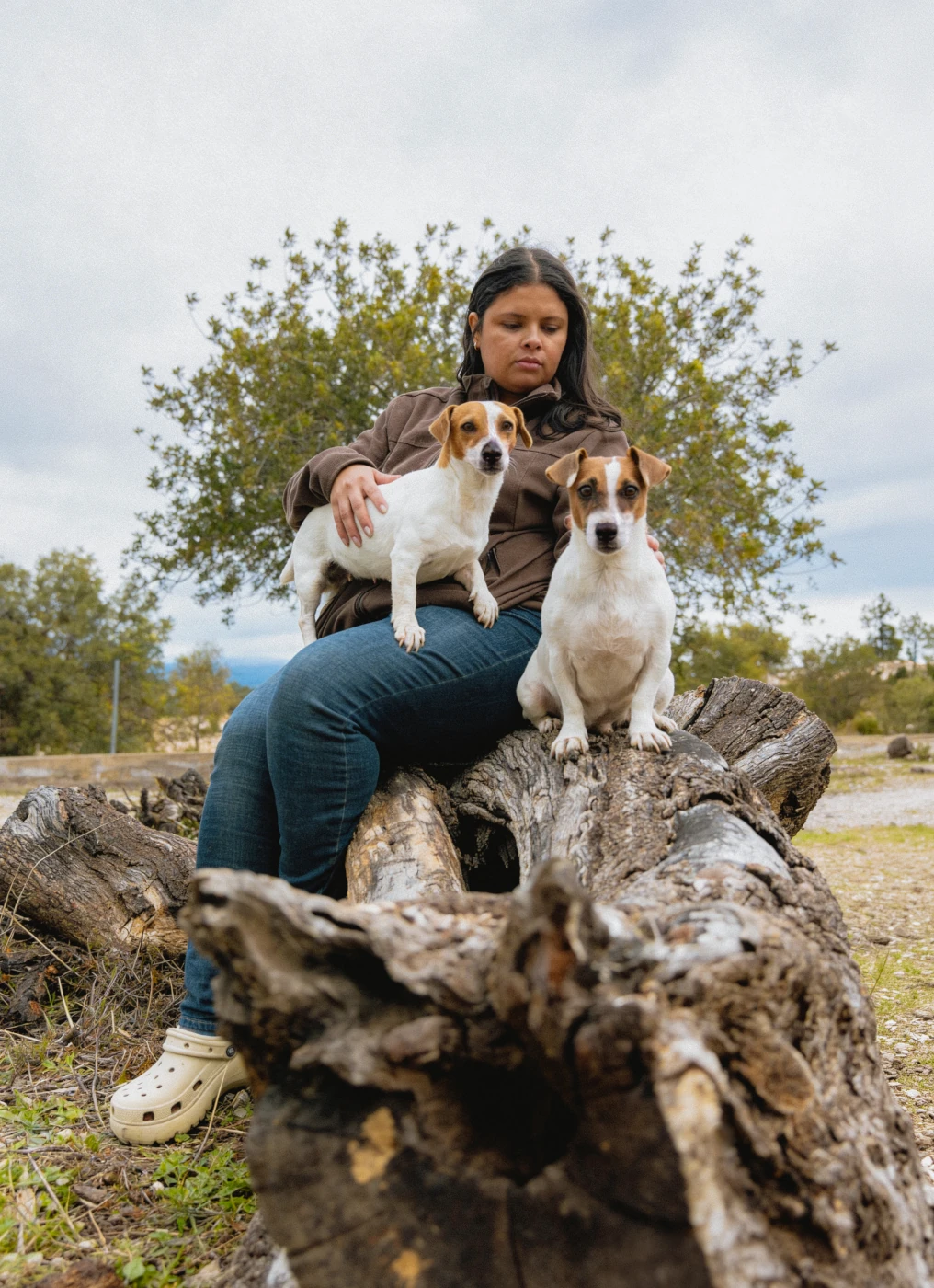 https://tuttypetslove.es/wp-content/uploads/2026/05/comprar_perros_pequenos-1.webp
