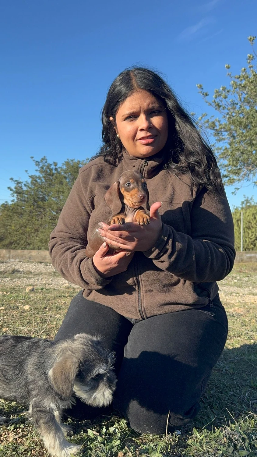 razas perros medianos