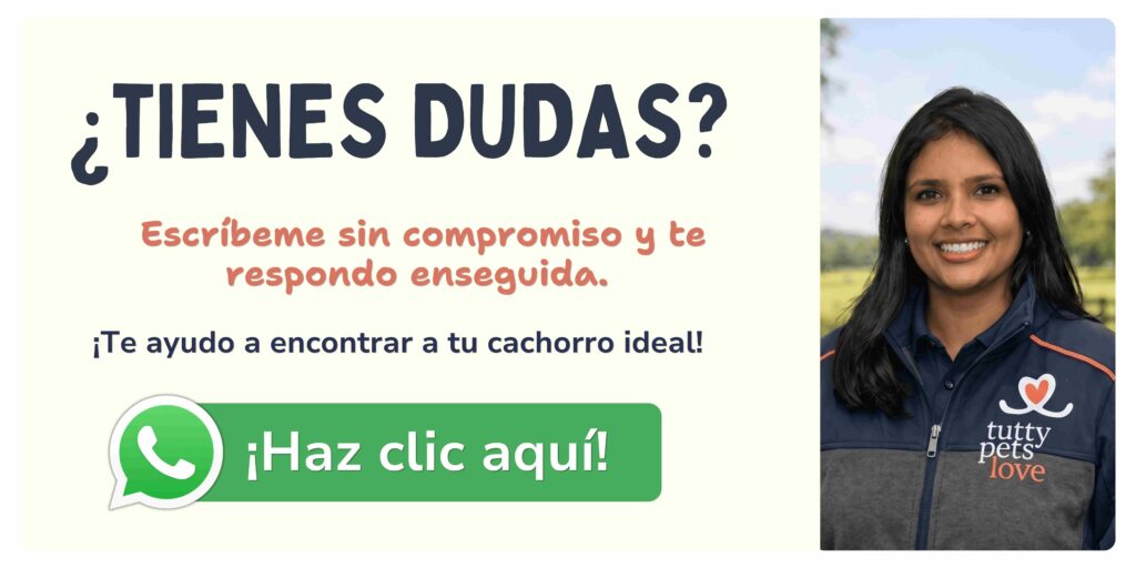 CONTACTO POR WHATSAPP