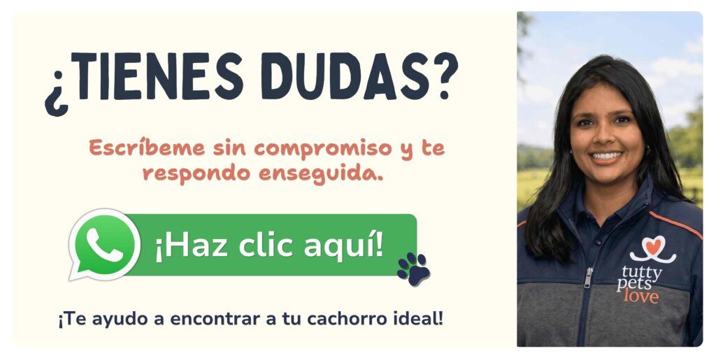 CONTACTO POR WHATSAPP
